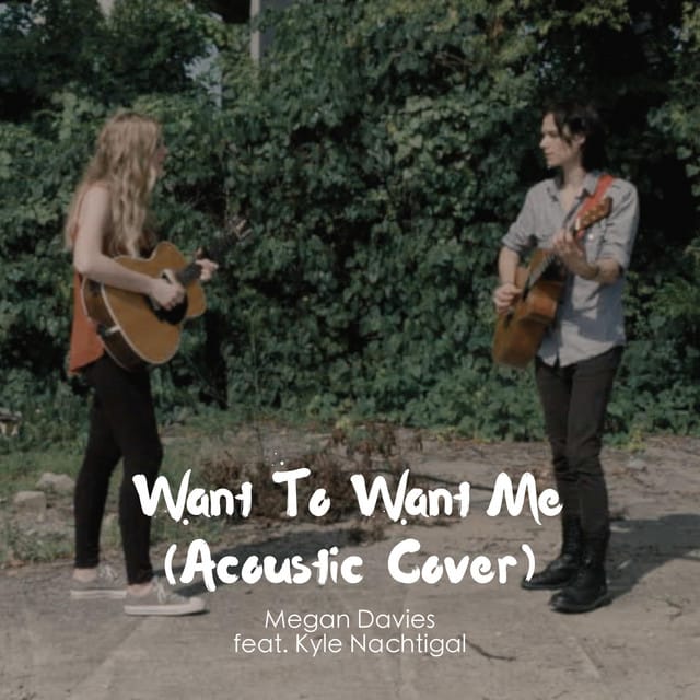 Want to Want Me (acoustic cover)