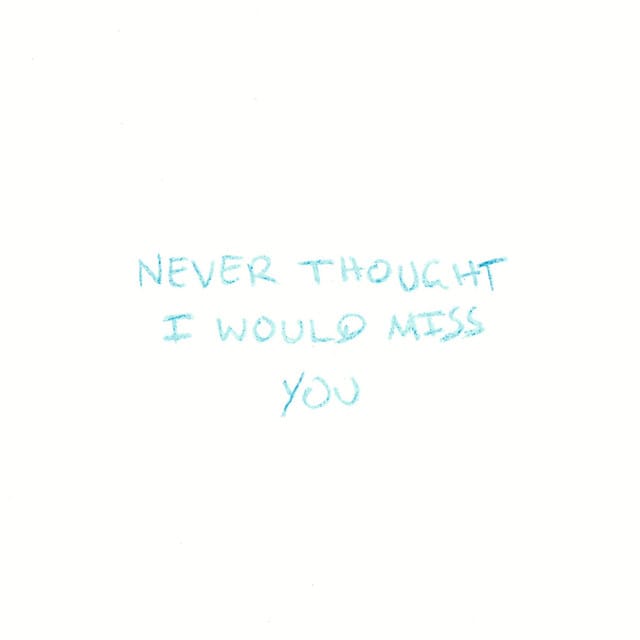 Never Thought I Would Miss You