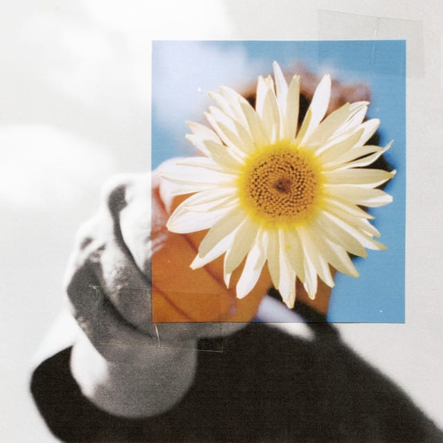 Little Miss Sunshine - Single