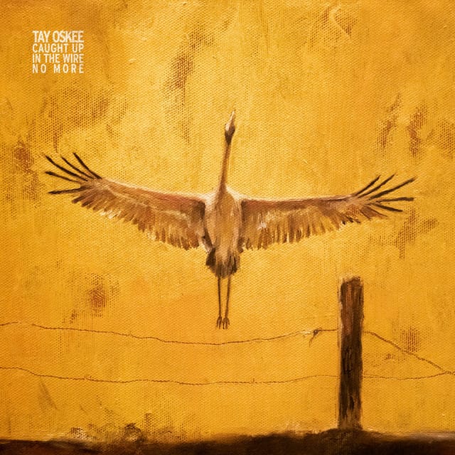 Caught Up in the Wire, No More - EP
