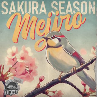 Sakura Season : Mejiro