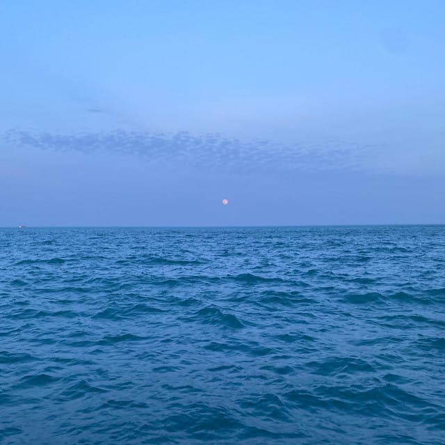 Swimmingly - Single