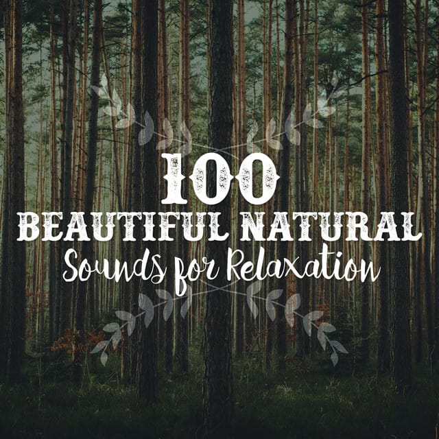 100 Beautiful Natural Sounds for Relaxation