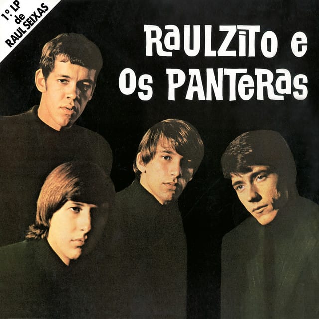 Raulzito e Os Panteras