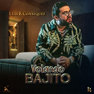 Volando Bajito