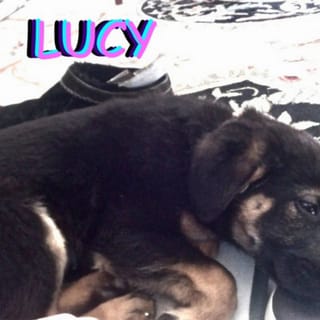 LUCY
