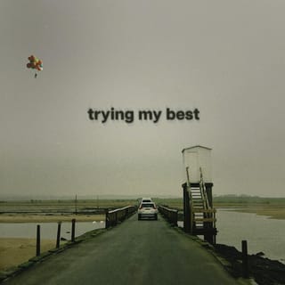Trying My Best - Single