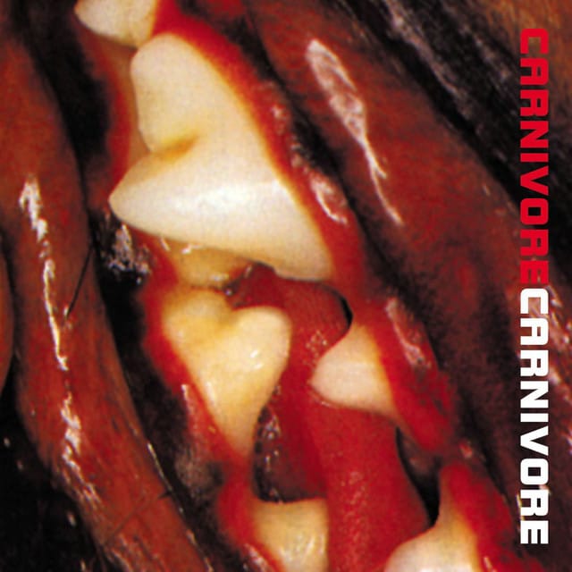 Carnivore Tour