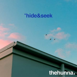 hide & seek - Single