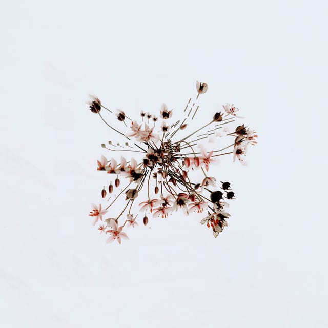 Thistledown (Hologramme Remix)