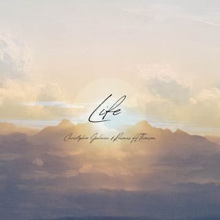 Life || Day 5
