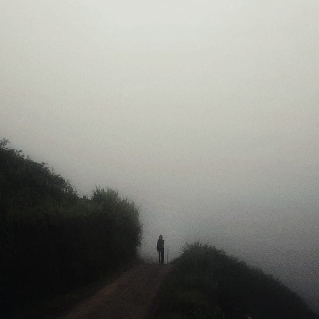 Almost Before We Knew It We Had Left The Ground - Single
