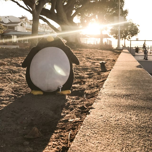 Soak Up the Sun