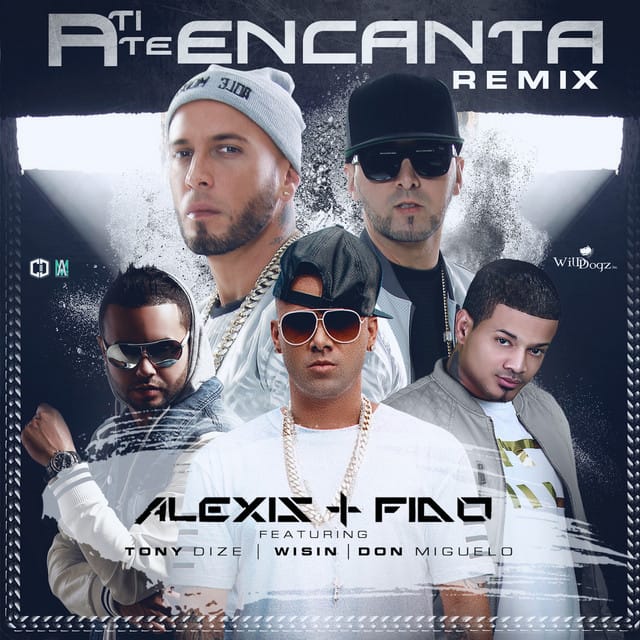 A ti te encanta (remix)