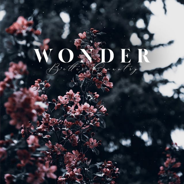 Wonder