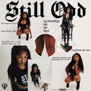 STILL ODD