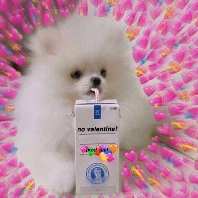 No Valentine