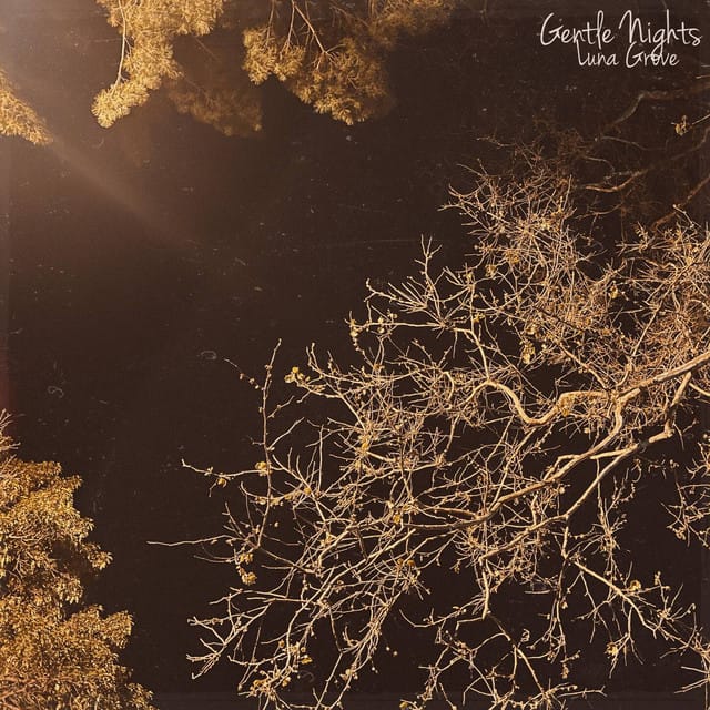 Gentle Nights - Single