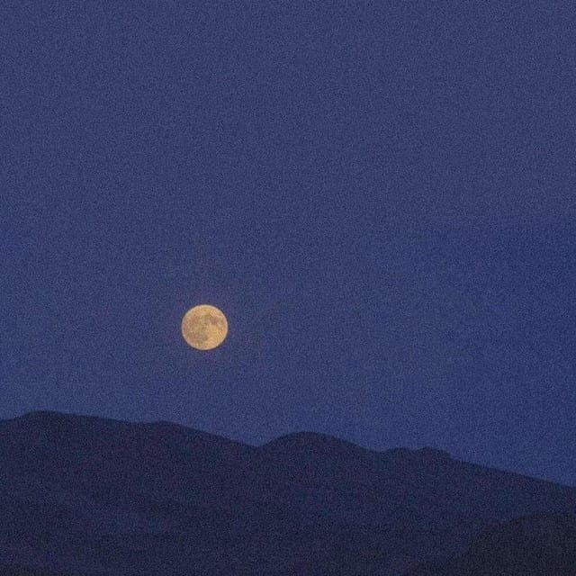 如果爱忘了 (Live)