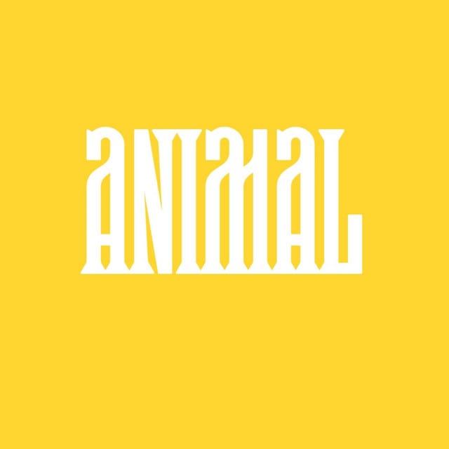 Animal - Single