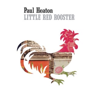 Little Red Rooster