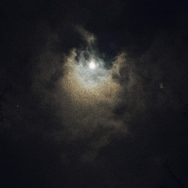 in silence - Single
