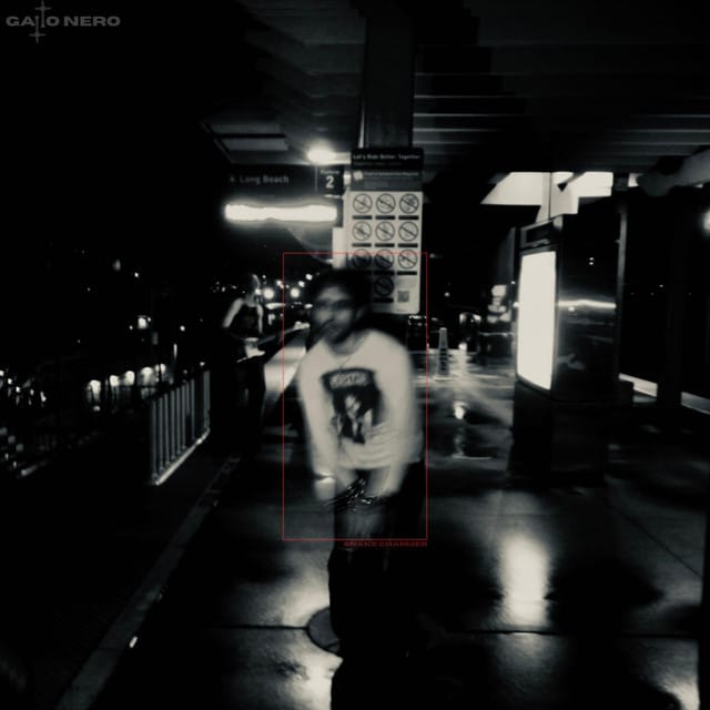 SNAKE CHARMER - Single