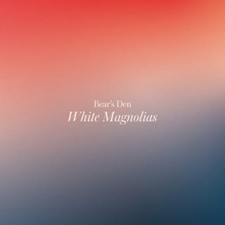 White Magnolias - EP