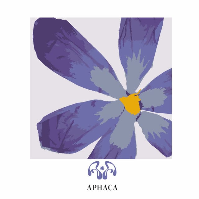 APHACA123