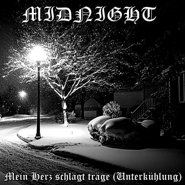 Mein Herz schlägt träge (Unterkühlung) - Single