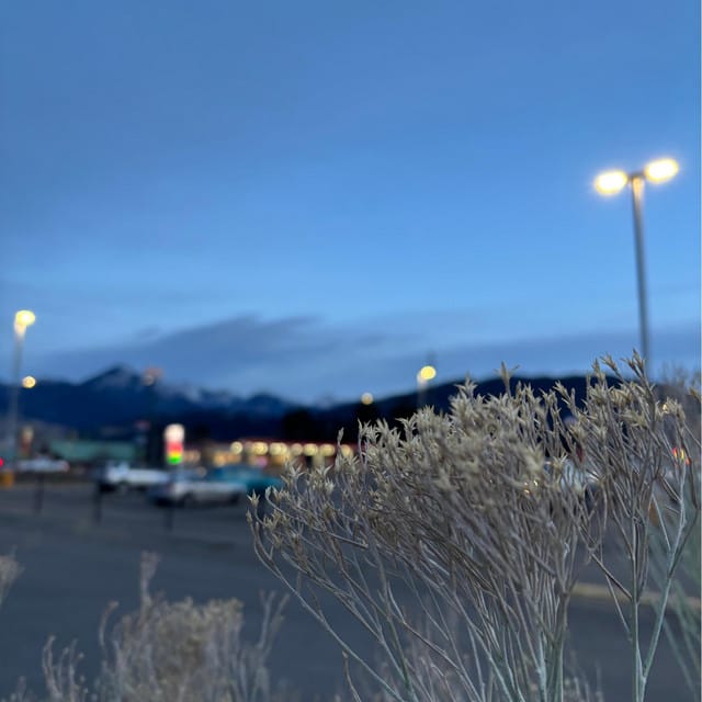 Albertson's Parking Lot