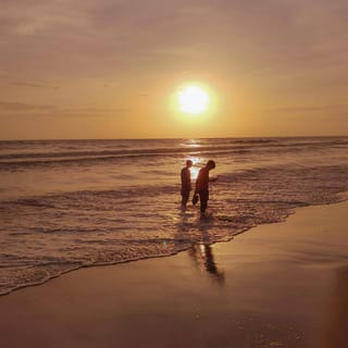 Sunlight