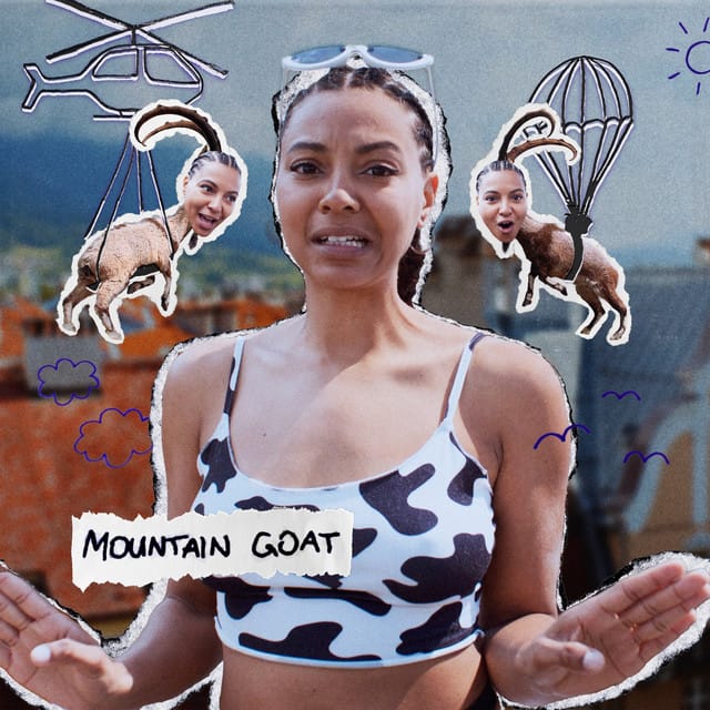 Mountain Goat