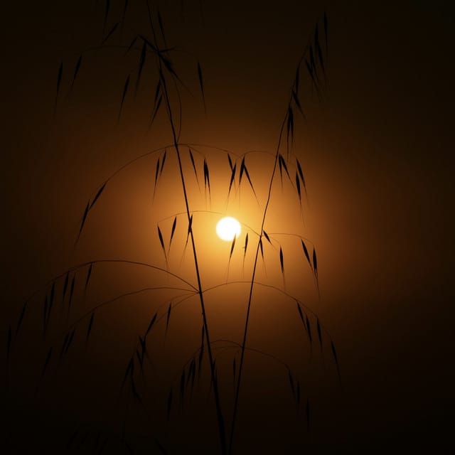 Sunrise