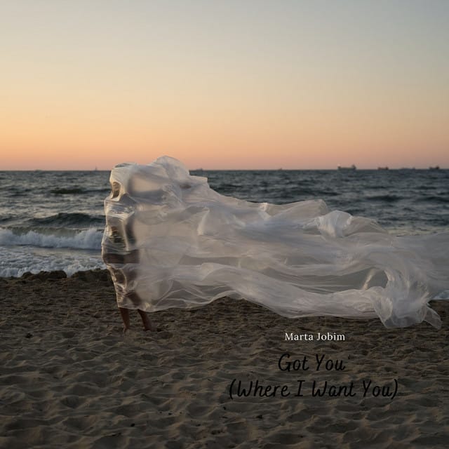 Got You (Where I Want You) - Single