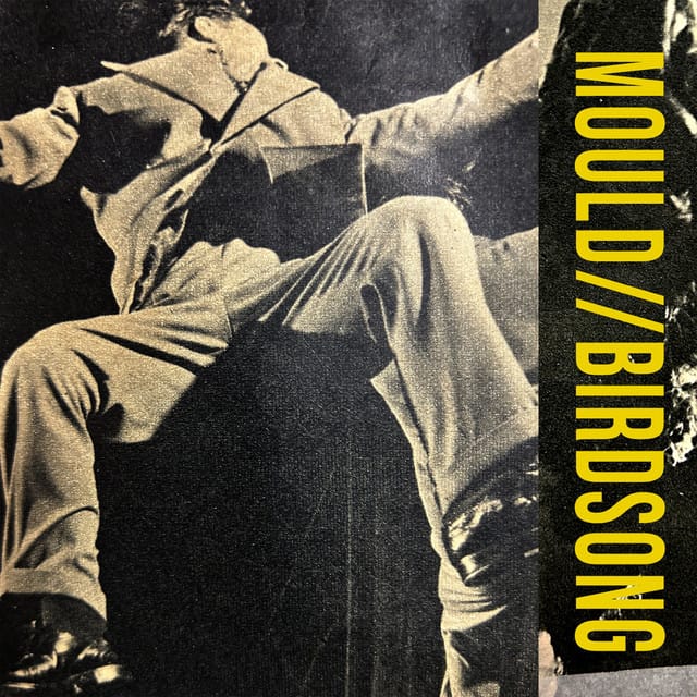 Birdsong - Single