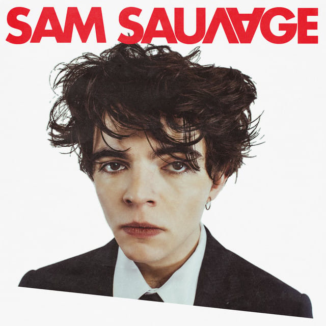 Sam Sauvage - EP