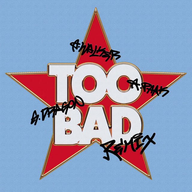 TOO BAD – Alan Walker Remix