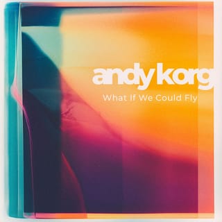 What If We Could Fly - Single