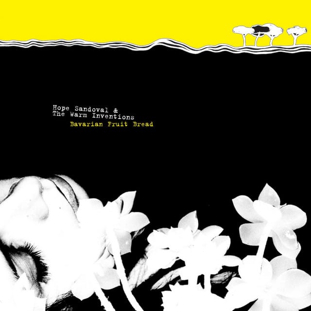 Butterfly Mornings