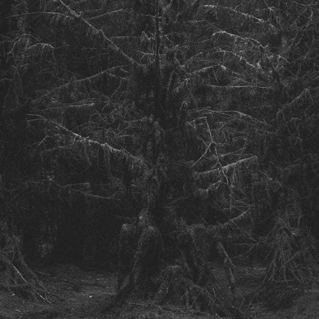 Forest of Bones EP