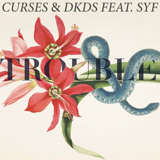 Trouble (feat. SYF) [Radio Edit]