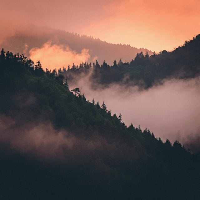 We Climbed the Mountain - Single