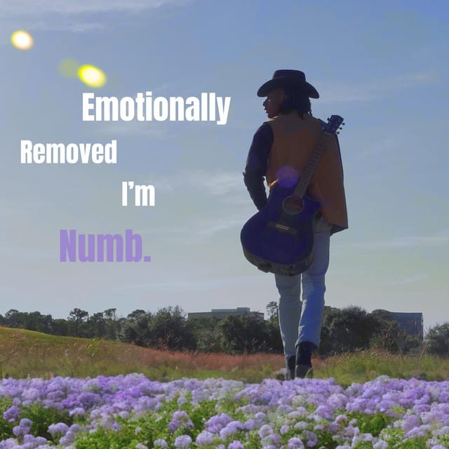 Emotionally Removed, I'm Numb.