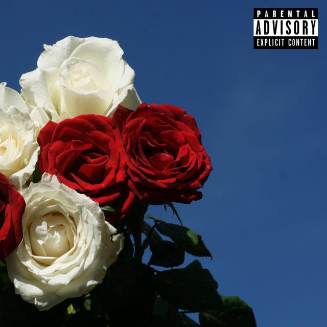 Love Lies