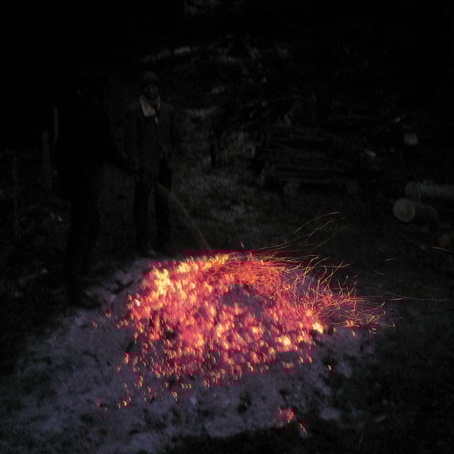 Welt am Draht (Animal Collective Remix)