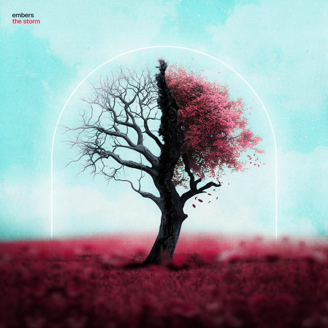 The Storm - Single