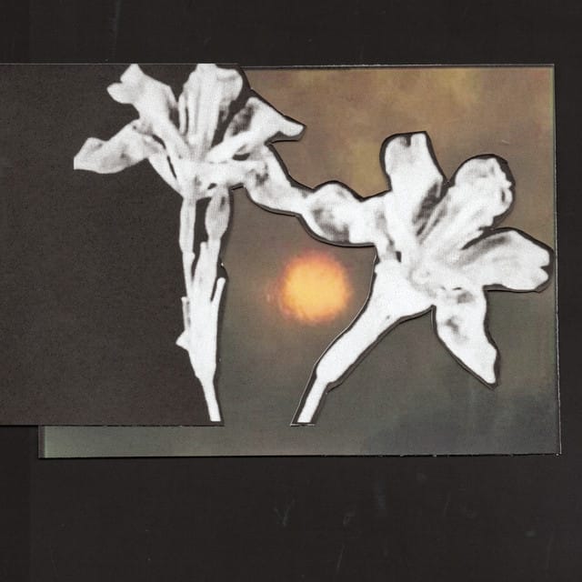 Loving You / Don't Let Me Go - Single