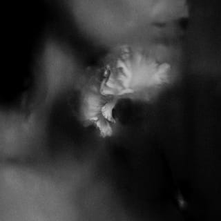 Holding Absence (Deluxe Version)