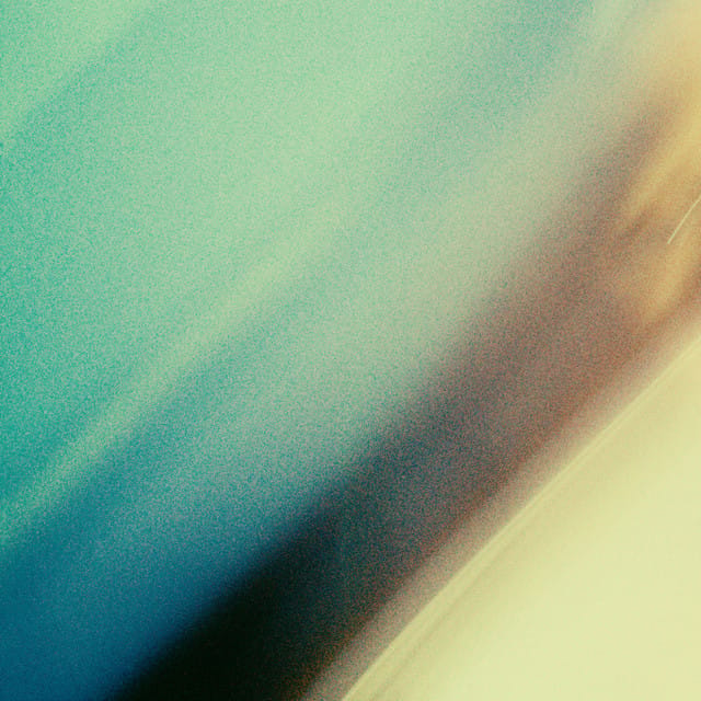 Into the Night